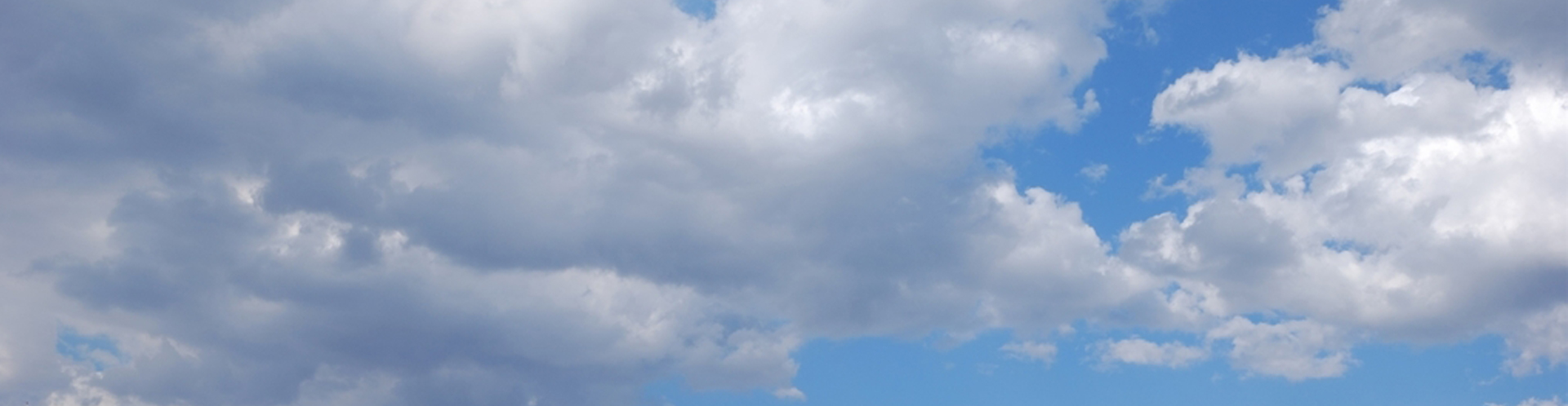 山東永楓機械制造有限公司 山東永楓機械制造有限公司